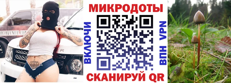 дарнет шоп  Гаврилов Посад  Галлюциногенные грибы мицелий 